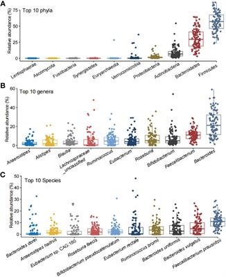 Characterization of the gut microbiota and fecal and blood metabolomes under various factors in urban children from Northwest China